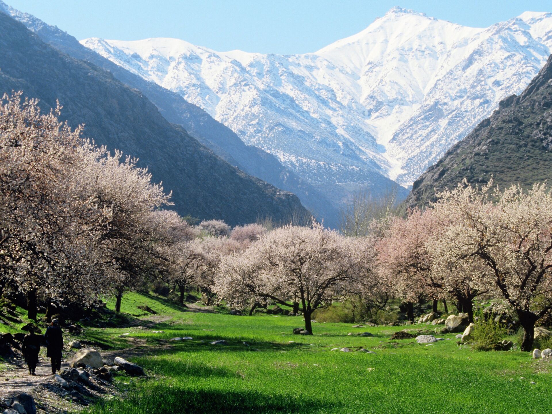 Mejor época para viajar a Uzbekistán